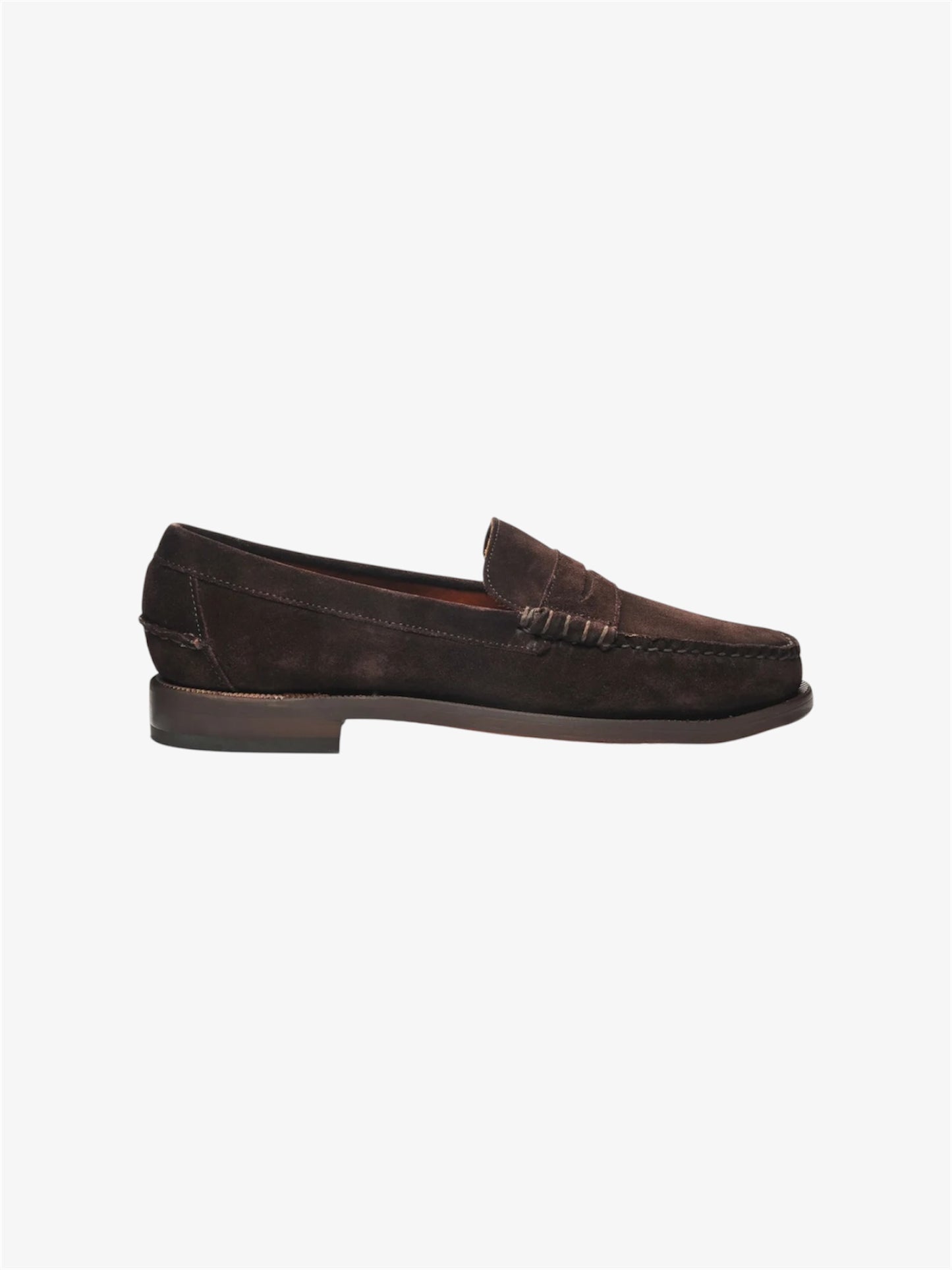 Classic Dan Suede