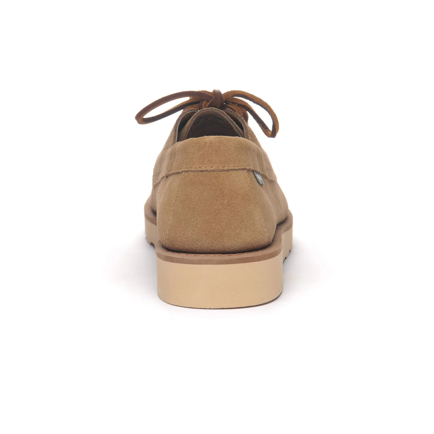 Sebago  askoofiled scamosciato beige camel